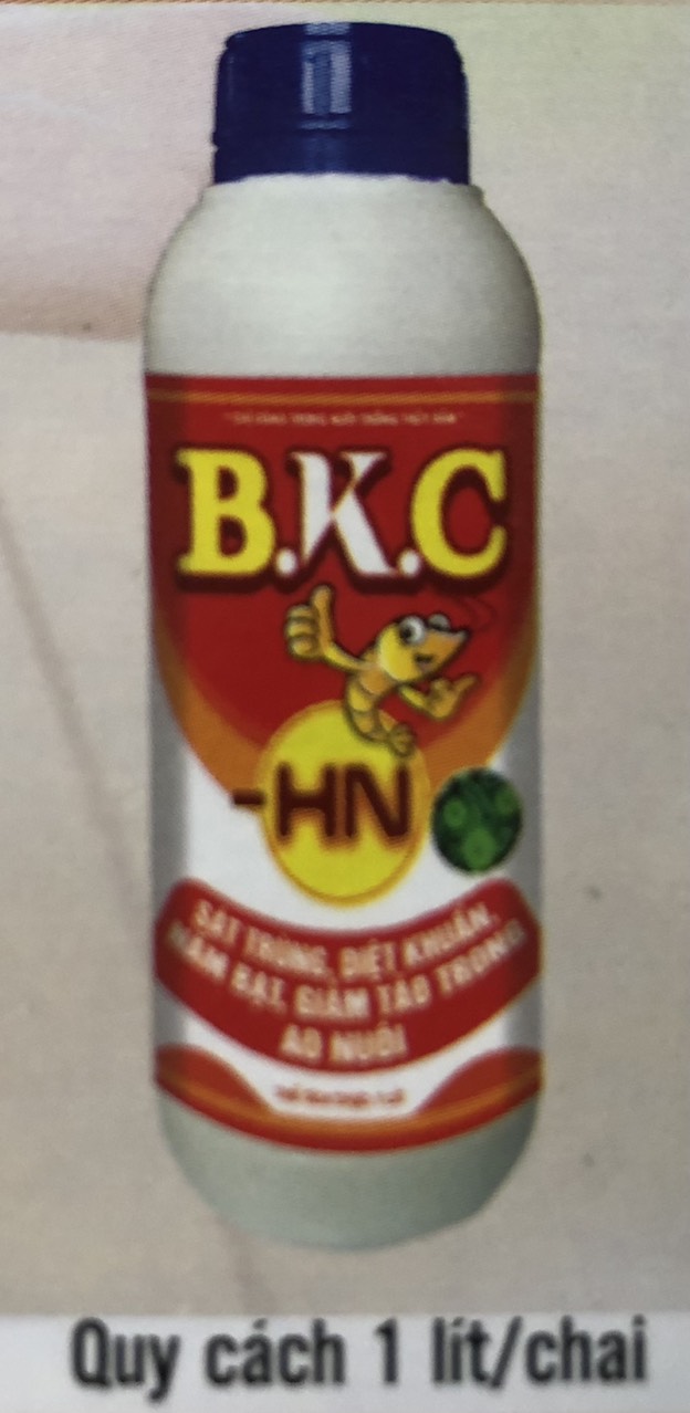 BKC HN
