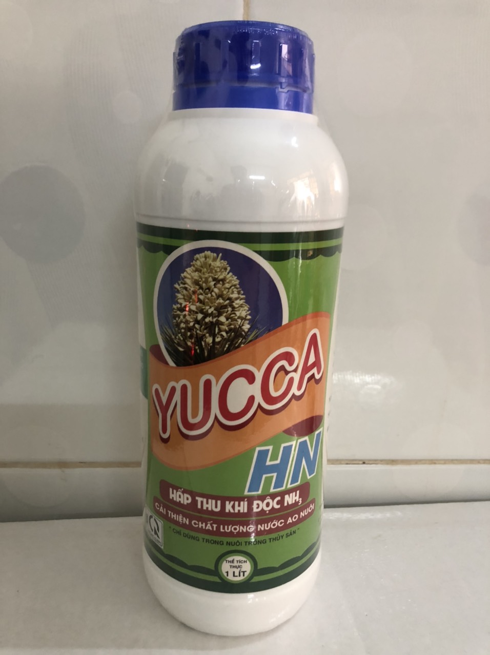 YUCCA HN